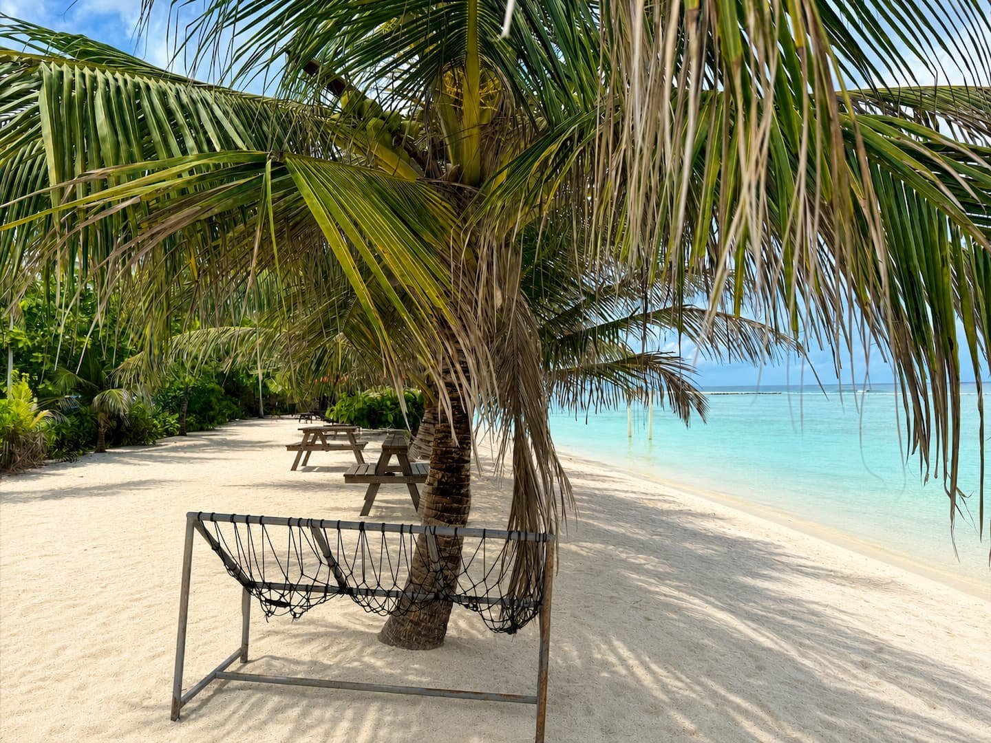 Breezy Home – Palm-lined beach nearby